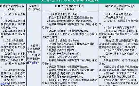 上海最新交通规则深度解读，2017年版详解